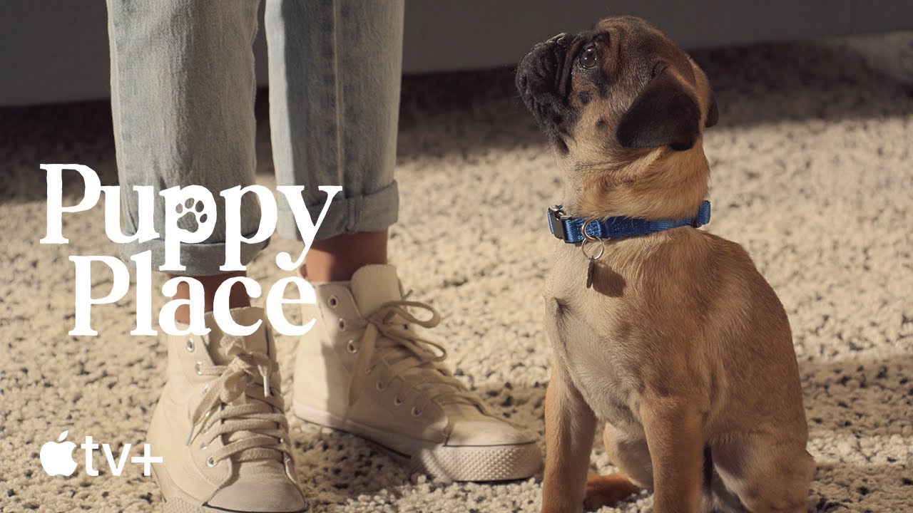 Puppy Place — Pugsley the Pug | Apple TV