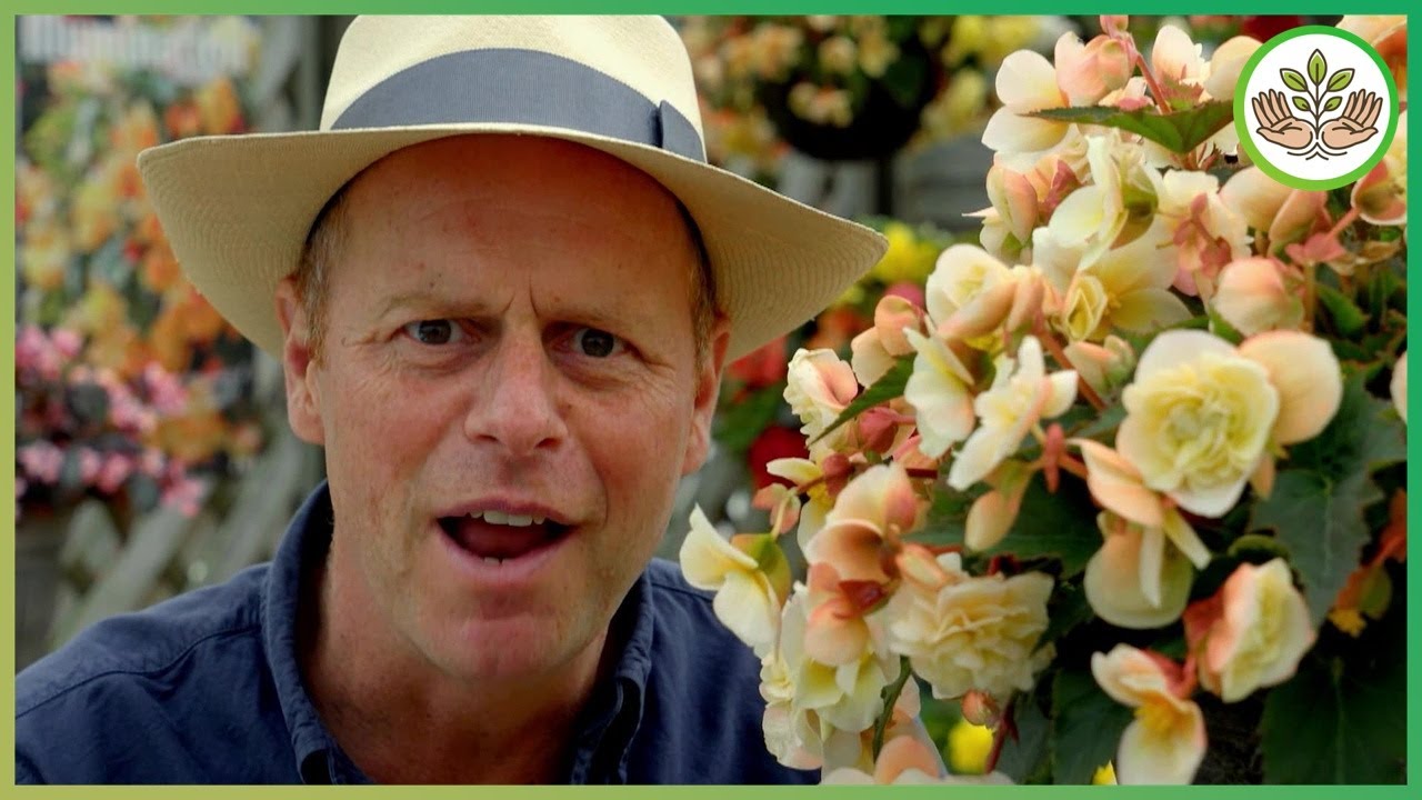Summer Gardening Tips - Wildflower Meadows, Veg Gardens and Pesto Recipe