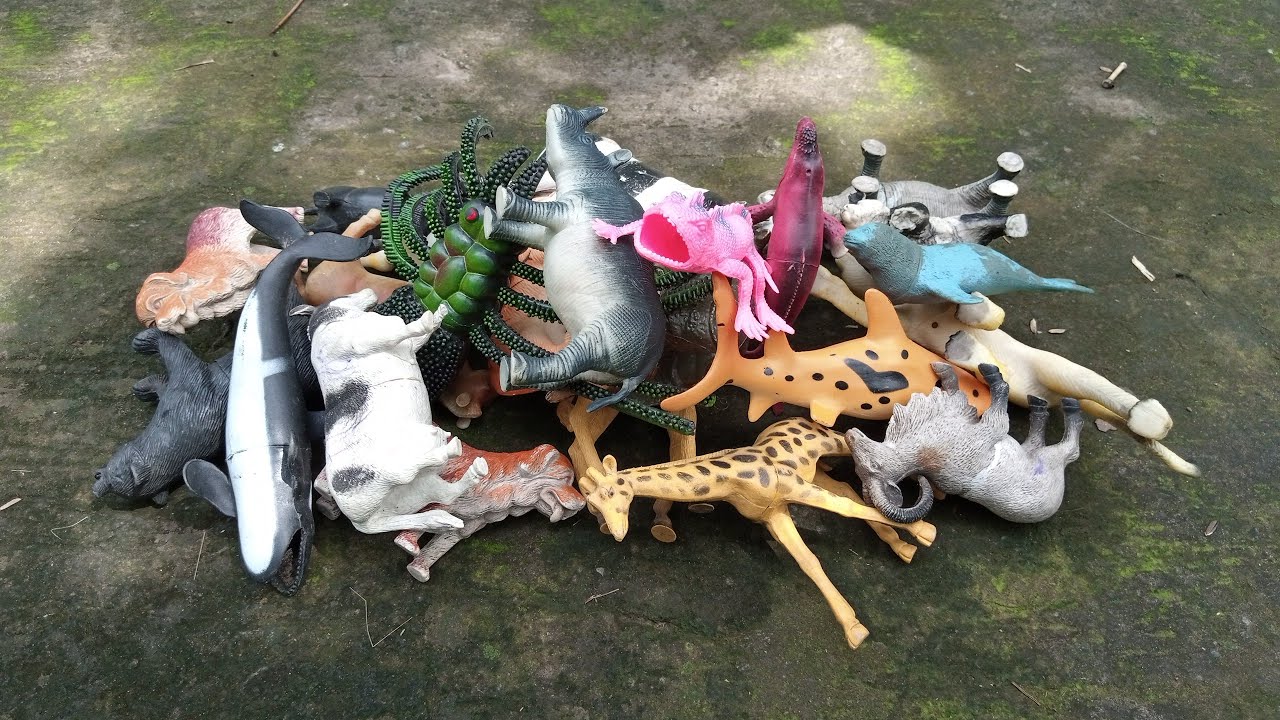 Exploring Wild Zoo Animal Toys Shark Zebra Whale Cow Tiger Jaguar and Another Animal Toys Review