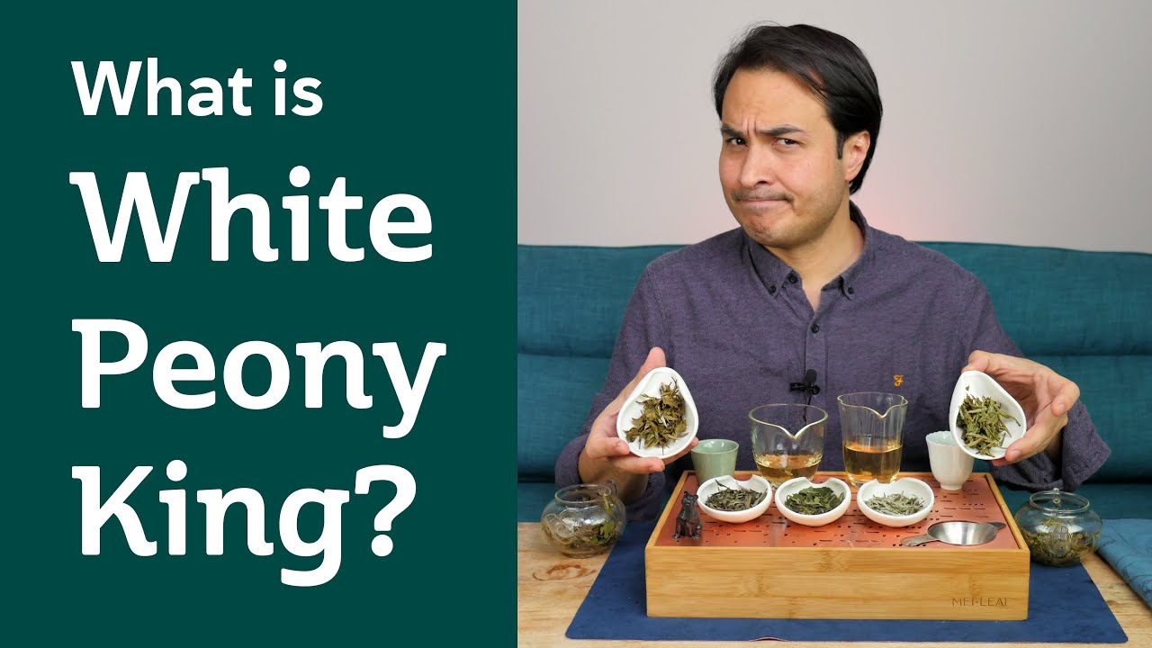 WHITE TEA PICKING STYLES - What is White Peony King?