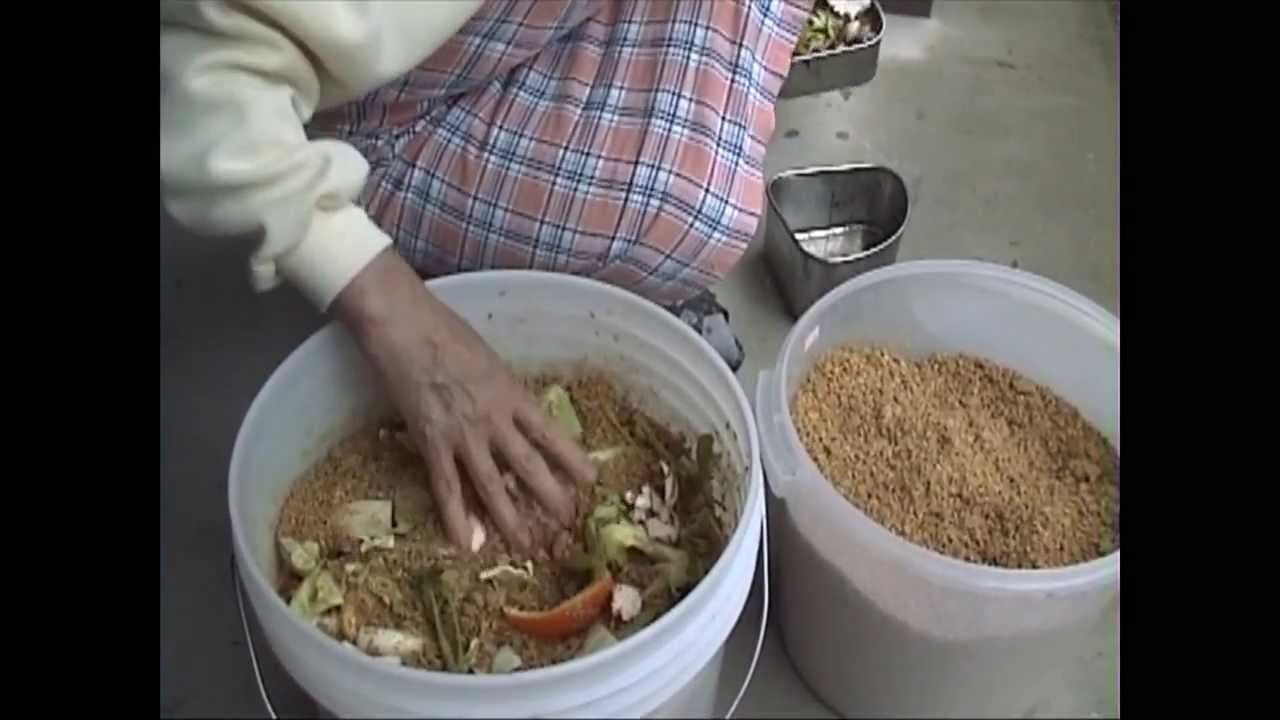 EMボカシで家庭菜園