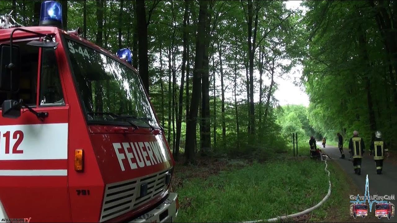 Ausgedehnter Waldbrand - Große Katastrophenschutzübung in Babenhausen