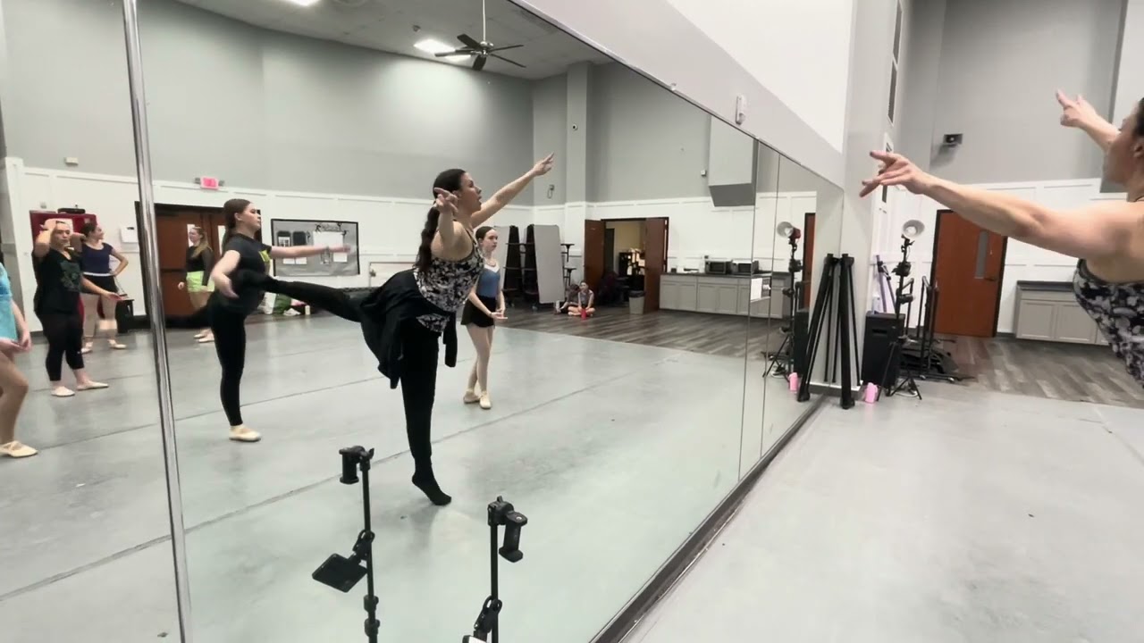 STARS Charter- Les Elements Audition- Butterfly Variation