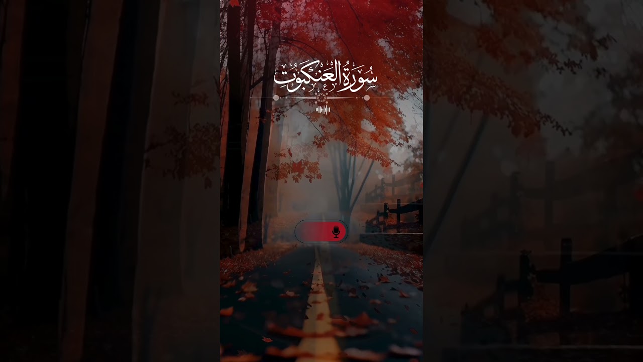 ✨SMOOTHING Quran Recitation by Umair🎉 || 