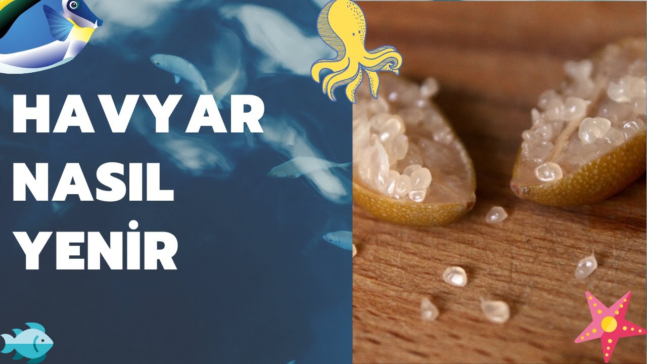 Havyar Nasıl Yenir ?