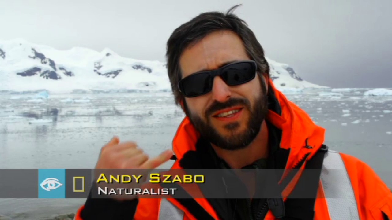 Antartica The White Continent