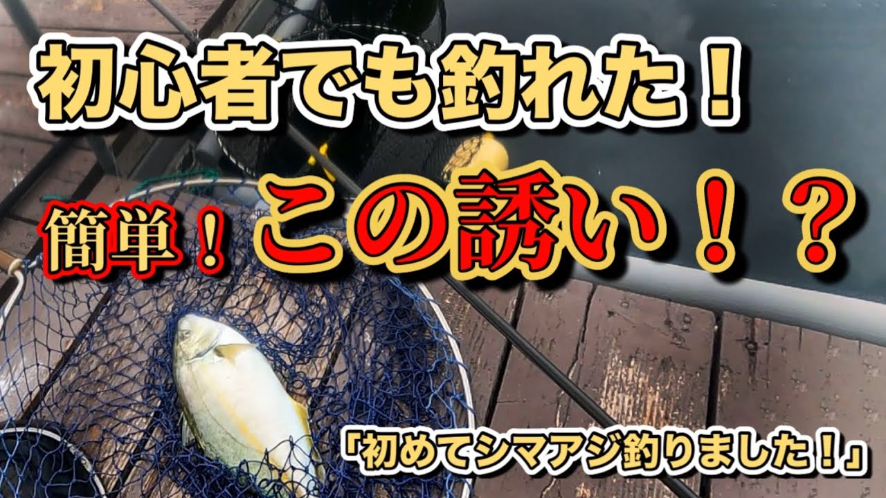 【海上釣堀】このやり方はアリ？ナシ？初心者でもシマアジが釣れる⁉️簡単な誘いをやってみた‼️ #海上釣堀　#海上釣り堀　#海上釣堀初心者　#フィッシングレインボー　#シマアジ釣り