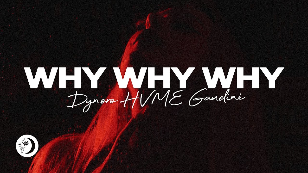 Dynoro, HVME, Gaudini - Why Why Why