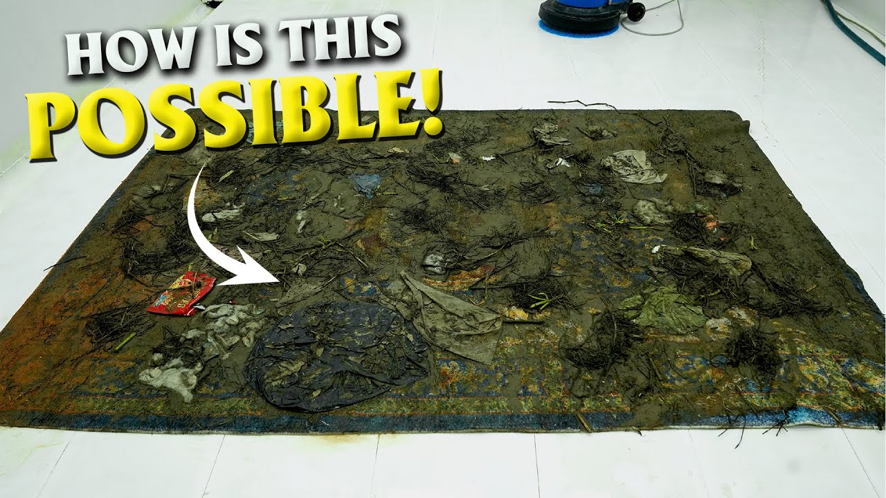 20 Years of Stains Washed Away in One Session – Carpet Cleaning ASMR