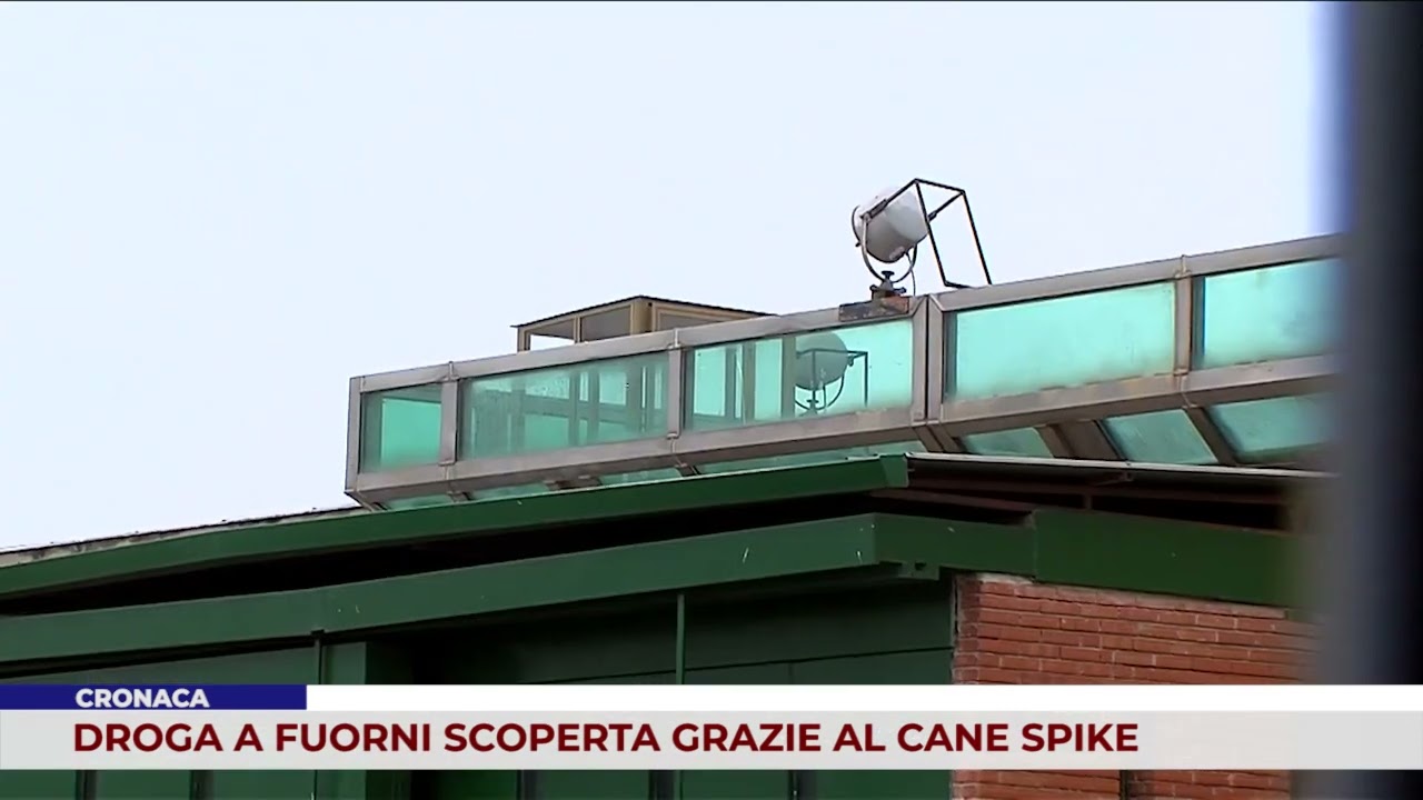 CRONACA. DROGA A FUORNI SCOPERTA GRAZIE AL CANE SPIKE