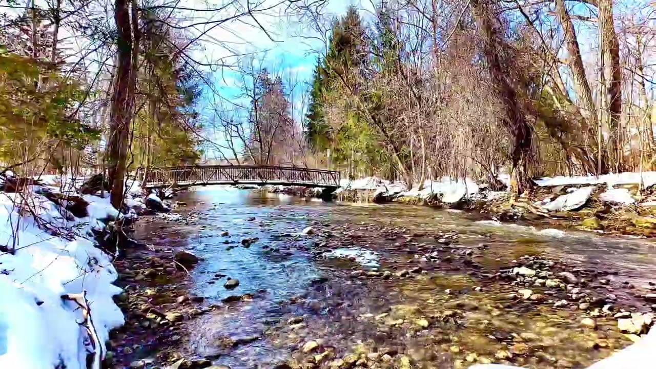 Winter River Sounds in 4K ❄️ | 1 Hour Snowy Forest & Relaxing Water Ambience