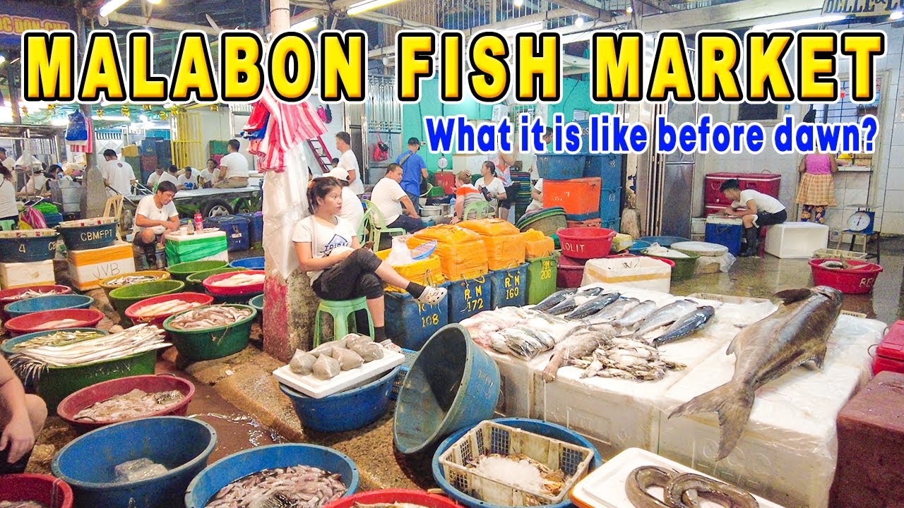 MALABON FISH MARKET in the Early Hours | Dark Hours Fish Trading in METRO MANILA #Malabonfishport