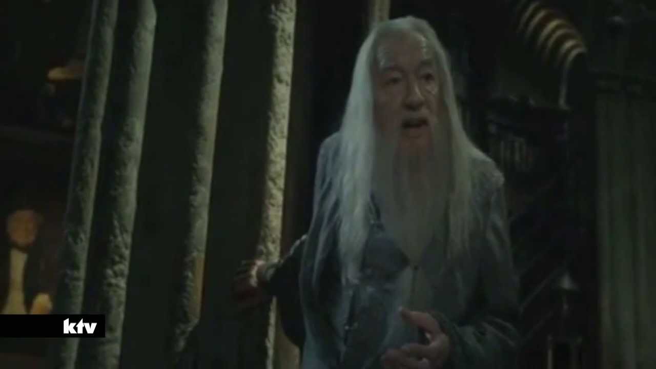Der (f&uuml;r mich) Traurigste Moment in Harry Potter und die Heiligt&uuml;mer des Todes Teil 2