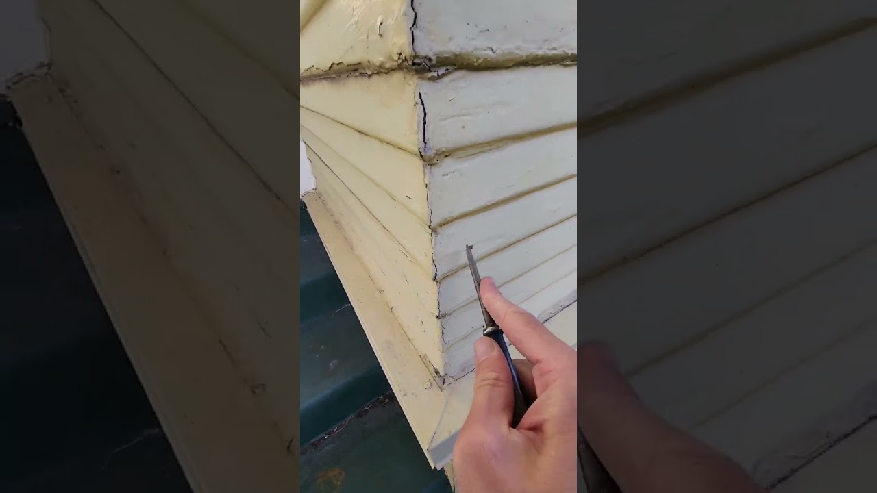 ASMR Pest Control Inspection
