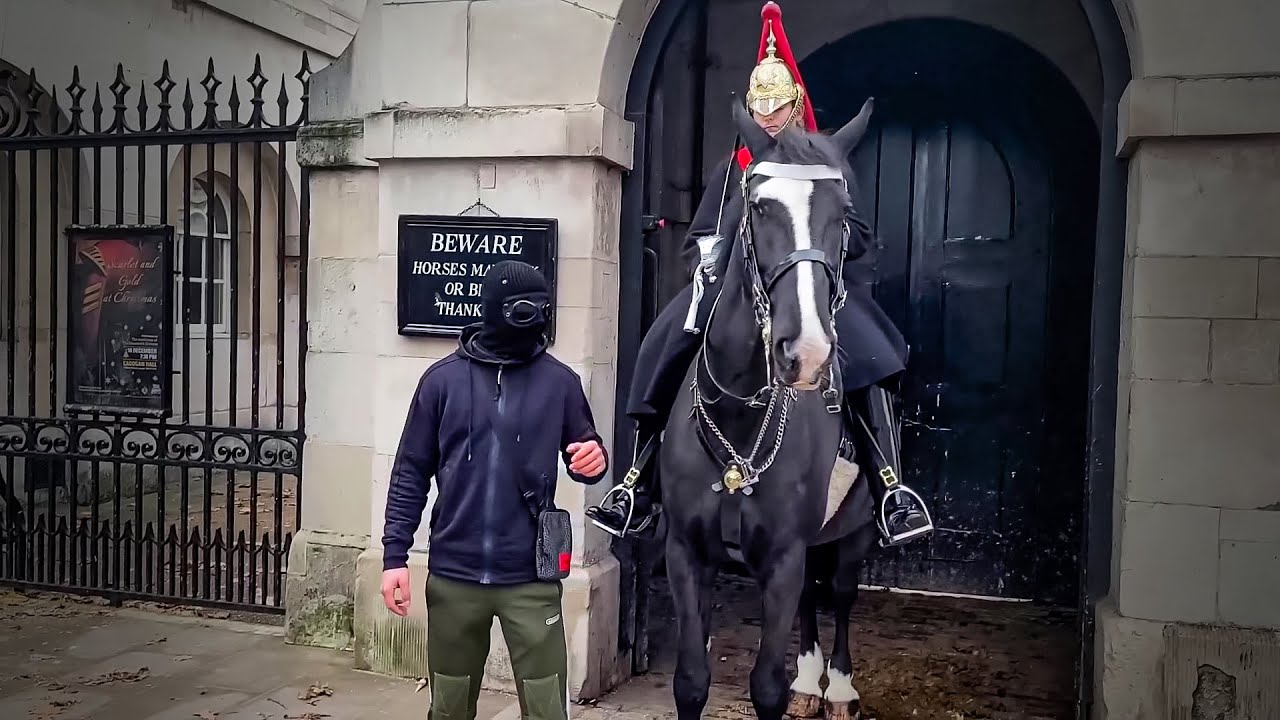 THE INTERNET IS TALKING ABOUT THIS FOOTAGE - IS IT A THREAT? | ROYAL GUARDS