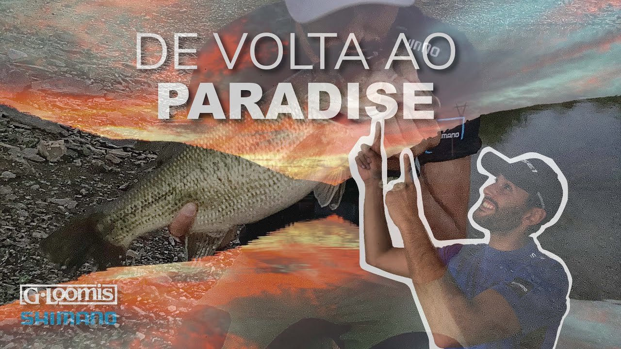 De volta ao PARADISE  ‼️BIG FISH topwater‼️