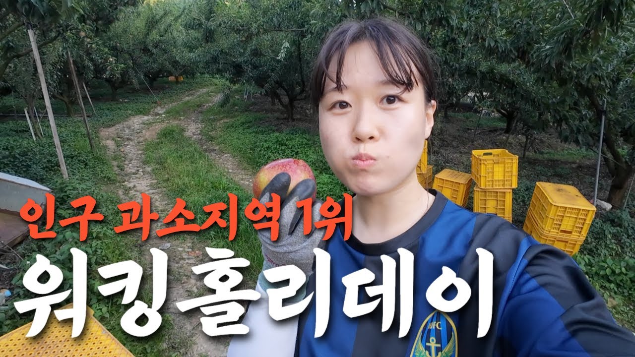 30대 백수...전국 1위 인구과소지역에서 워킹홀리데이