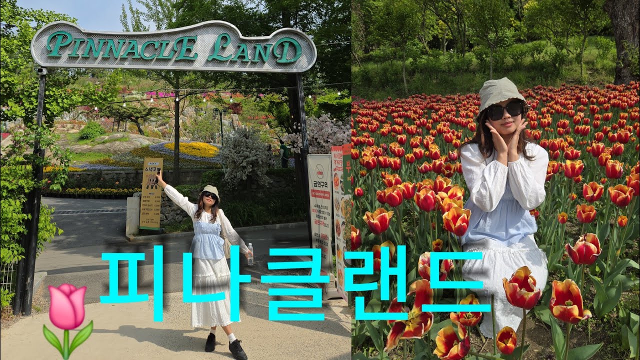 Pinaccle Land tulips 🌷 Festival park |Beautiful nature|Relaxing place