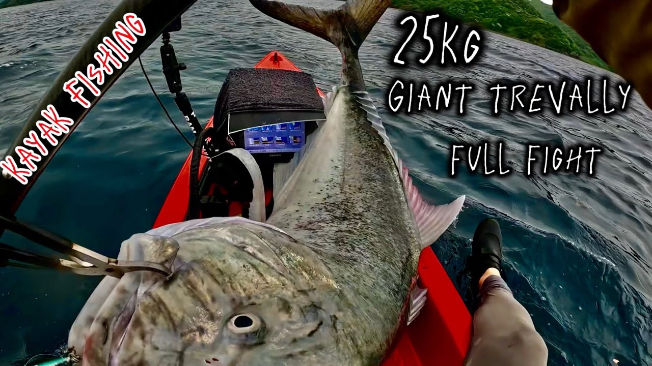 25kg Giant trevally full fight！ヒットして陸に帰るまでのノーカット版