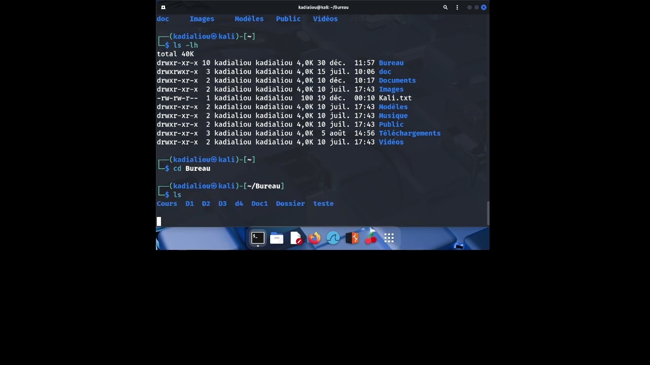 Kali Linux : Commandes de base pour débutants | TechSecure TV