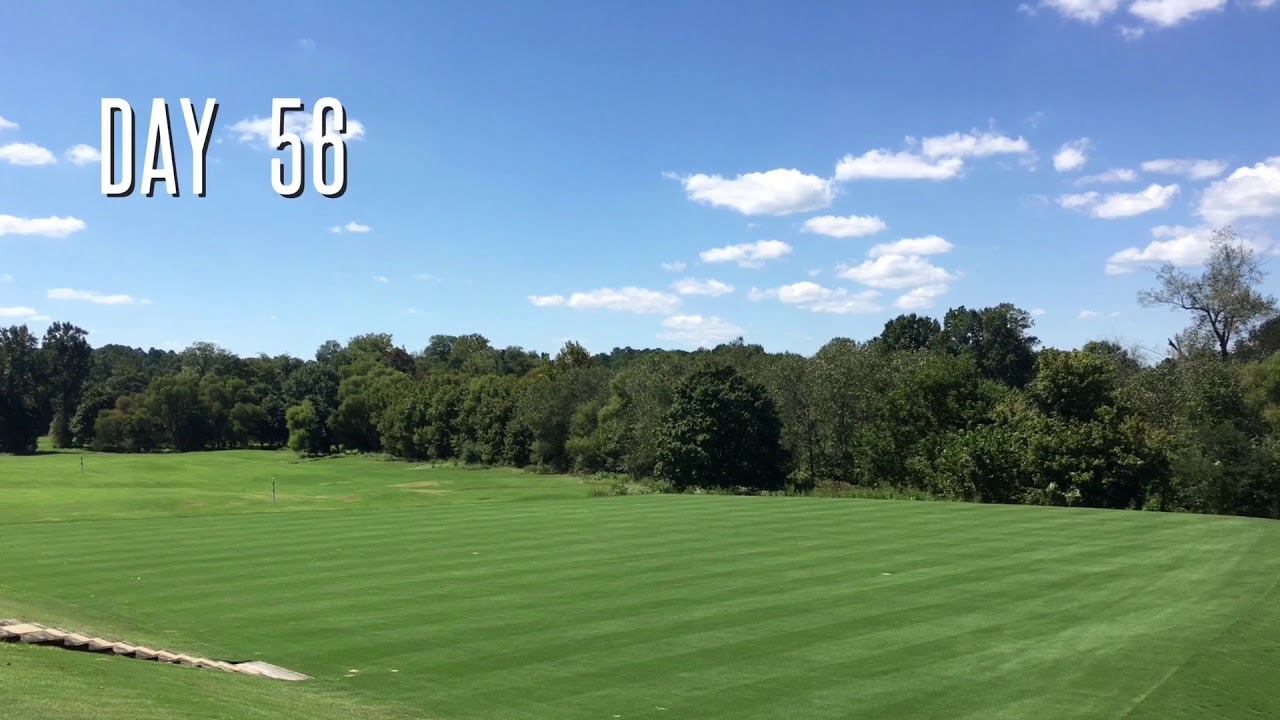TPC Piper Glen - Driving Range Tee Renovation 2017