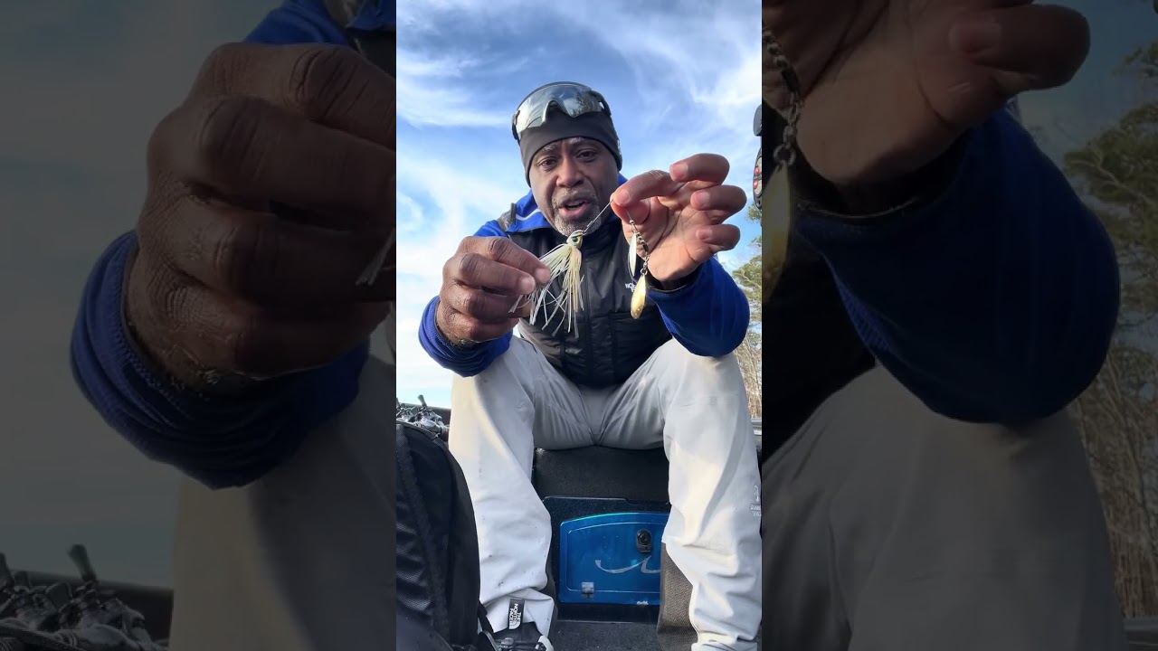 Catching spotted bass on Picasso spinner bait early spring. 