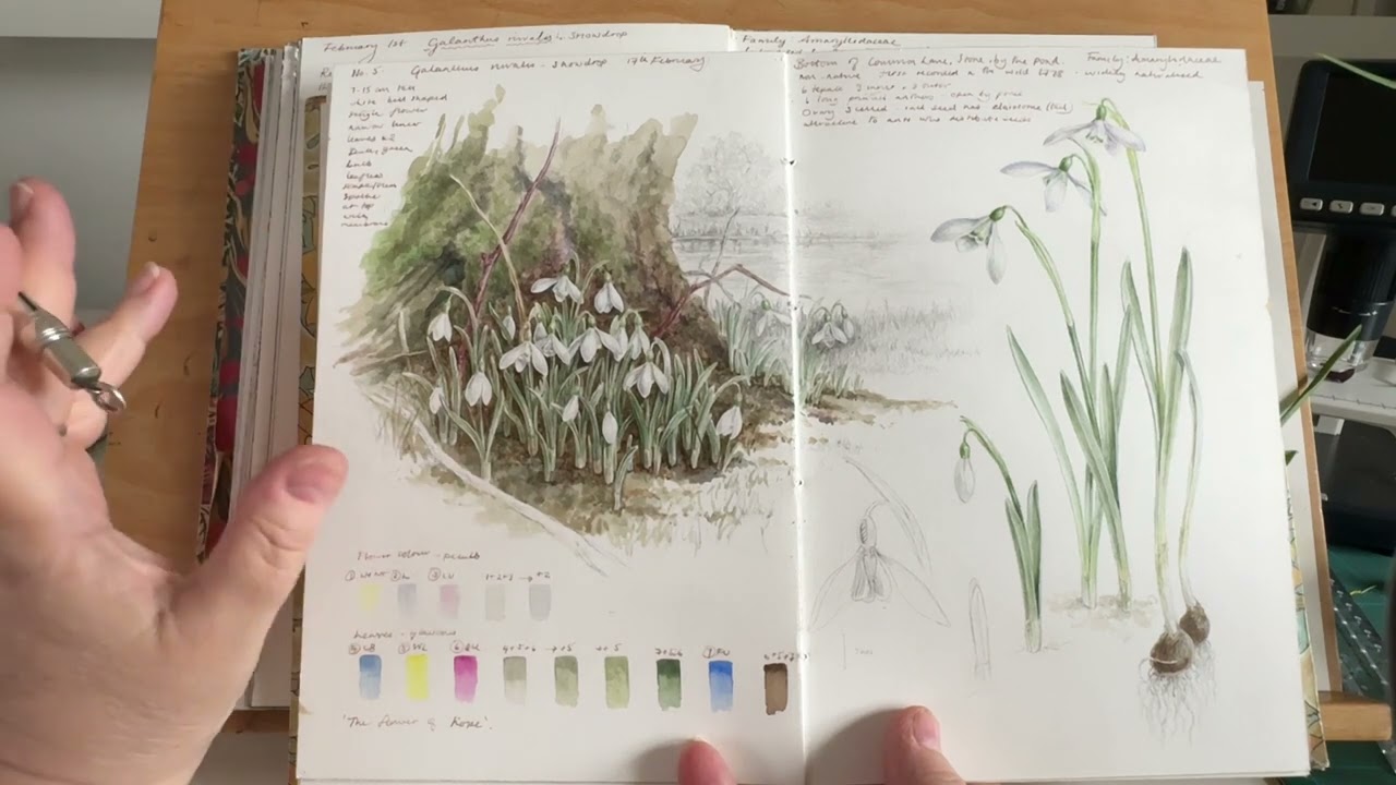 Into Spring 2024 Sketchbook: Revisiting Subjects
