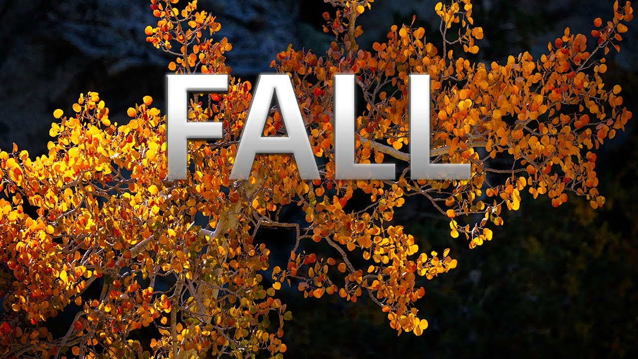Fall Color in the EASTERN SIERRA!