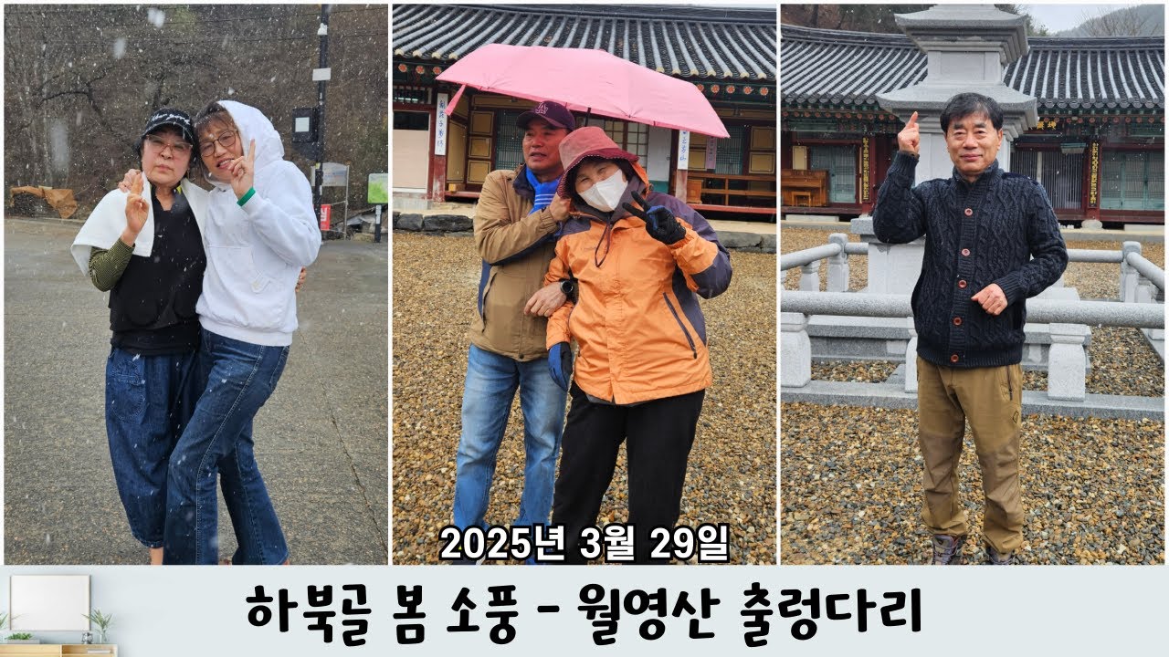 2025년 하북초등학교 21회 봄 소풍