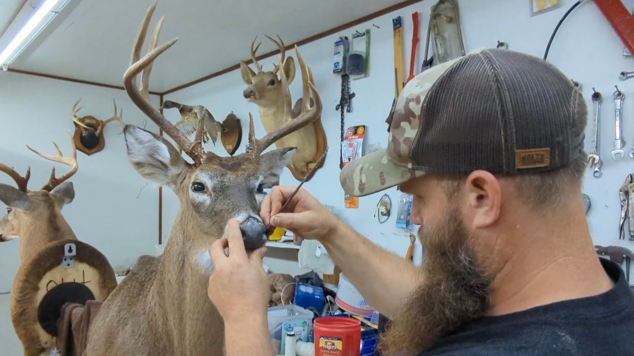Taxidermy Finishing Deer Heads, Part I