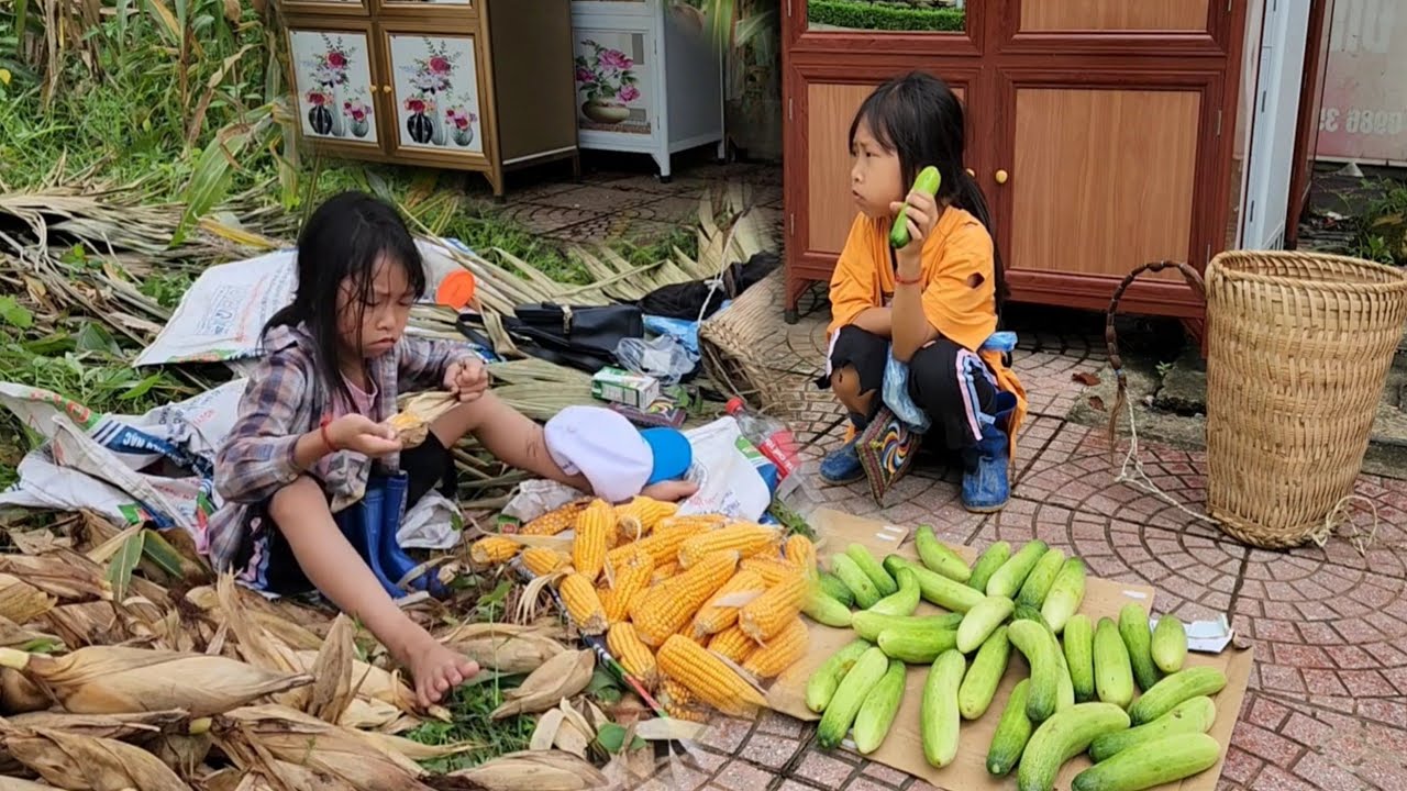 Episode Year-Old Homeless Girl Building a Bamboo House Alone in the Forest - Living off the grid