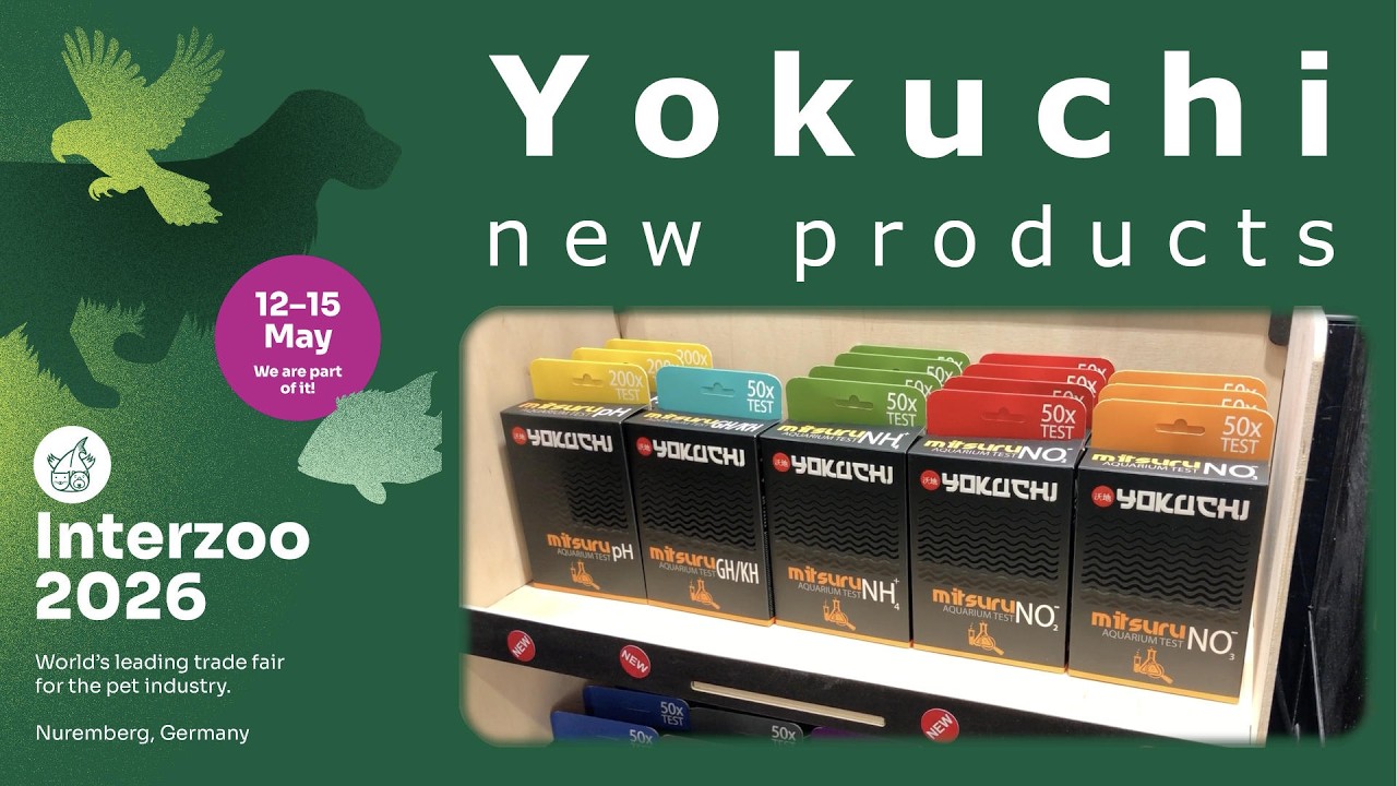 Interzoo 2026 - Yokuchi (new products)
