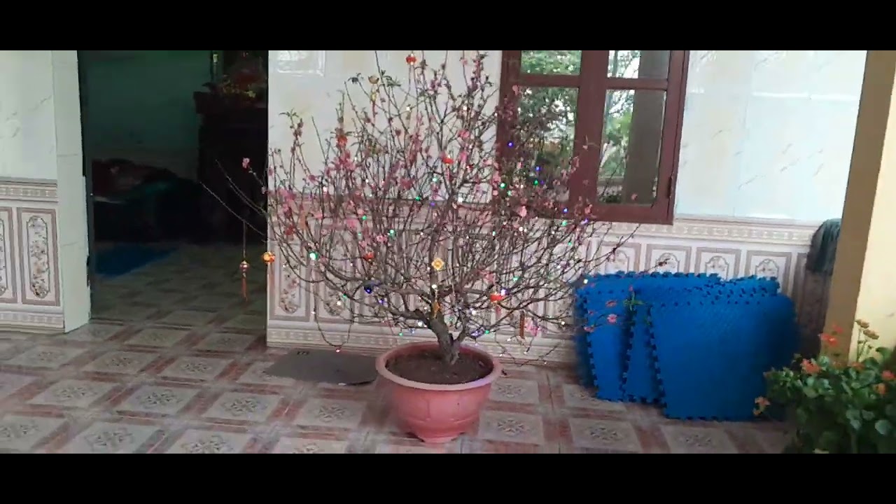 Những ngày cuối năm chuẩn bị đón Tết bính ngọ