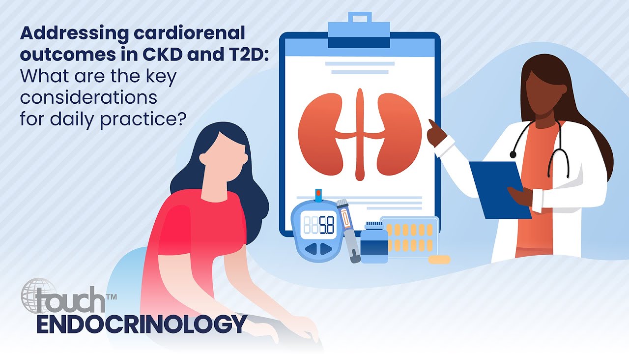 Addressing cardiorenal outcomes in CKD and T2D: What are the key considerations for daily practice?