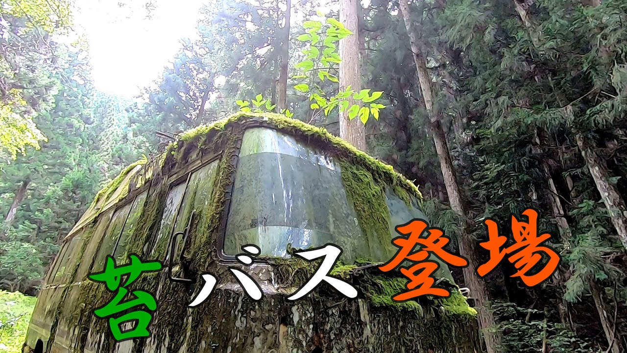 林道に年期の入った苔バスが…!