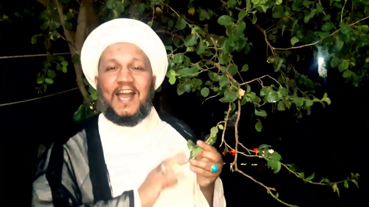 ورق السدرة المباركة لعلاج التابعة والسحر والعين والمس والحسد بأذن الله تعالى