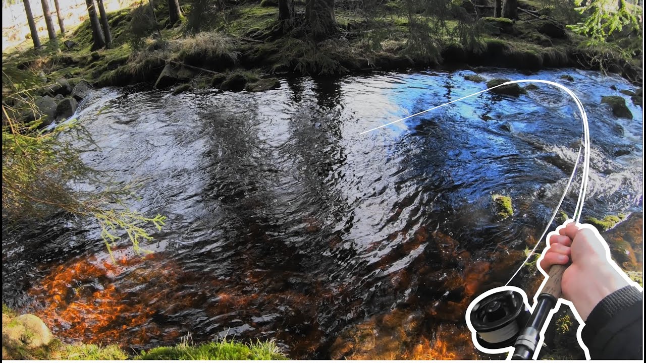 Zahájení pstruhové sezóny na horské říčce | Mountain creek fly fishing for a brown trout
