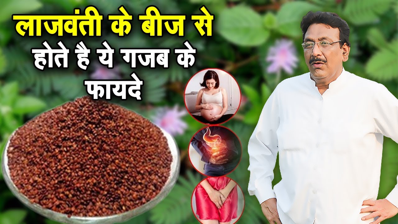 लाजवंती के बीज से होते है ये गजब के फायदे | Hakim Suleman Khan | Ishwar TV