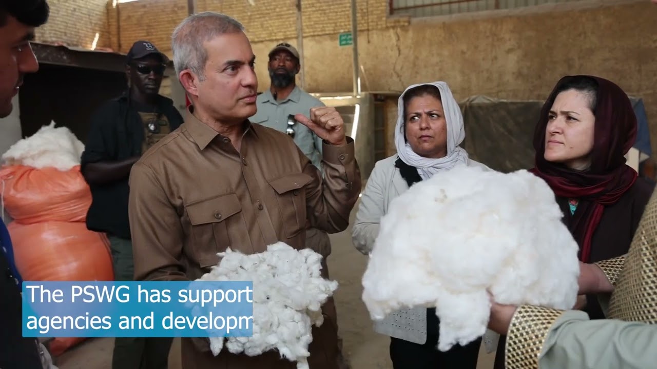 An overview of the Afghanistan Private Sector Working Group