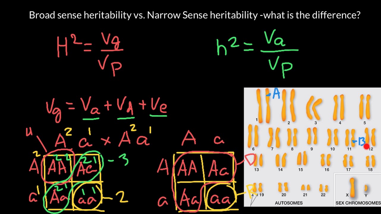 Broad sense heritability vs Narrow sense heritability