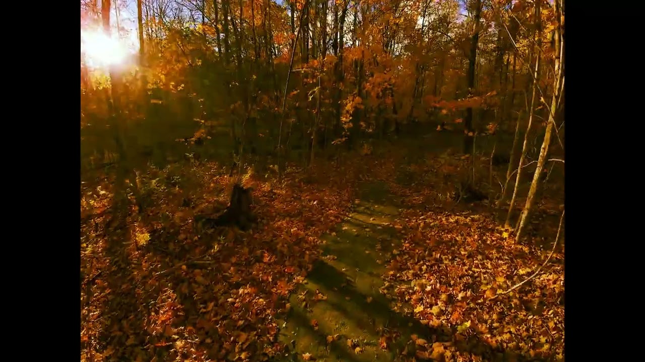 Fall Secret Hiking Trial