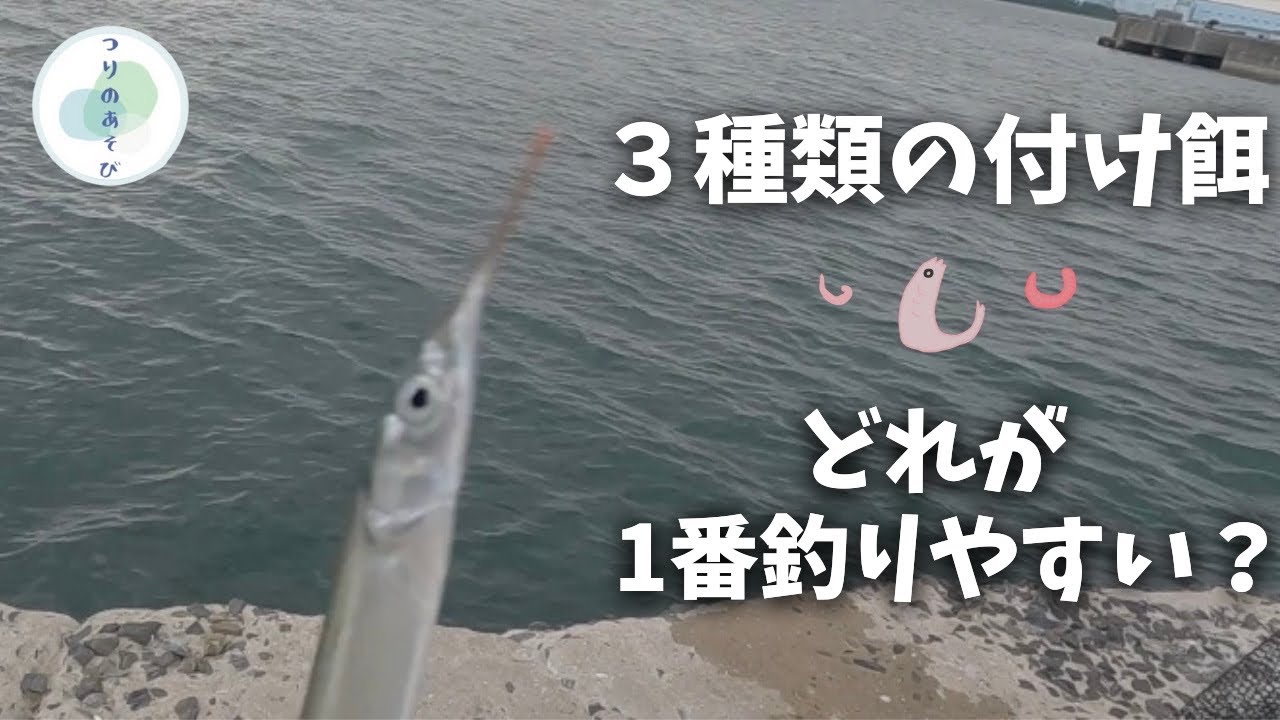 足元サヨリだらけ！目でみるアタリが楽しいサヨリ釣り