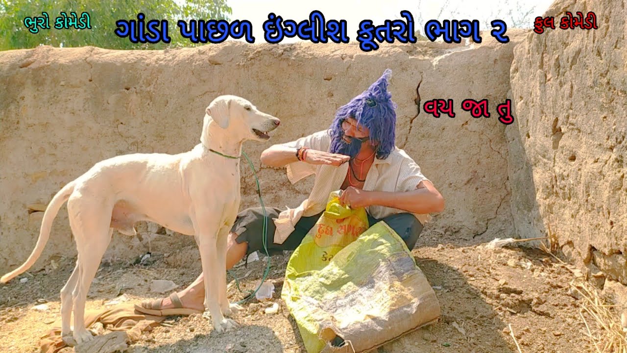 ગાંડા પાછળ ઇંગ્લીશ કૂતરો ભાગ ૨|bhurocomedy |gujaraticomedy |bccomedy