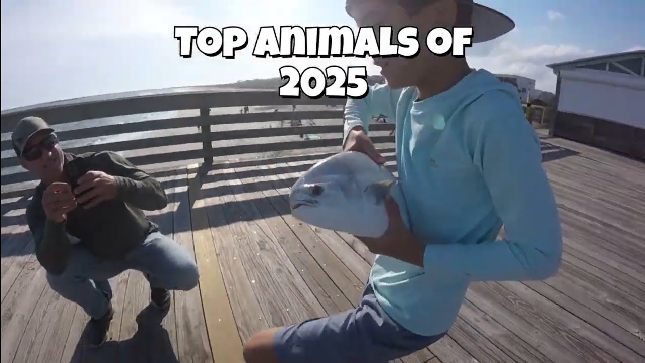 Our top animals of 2025!