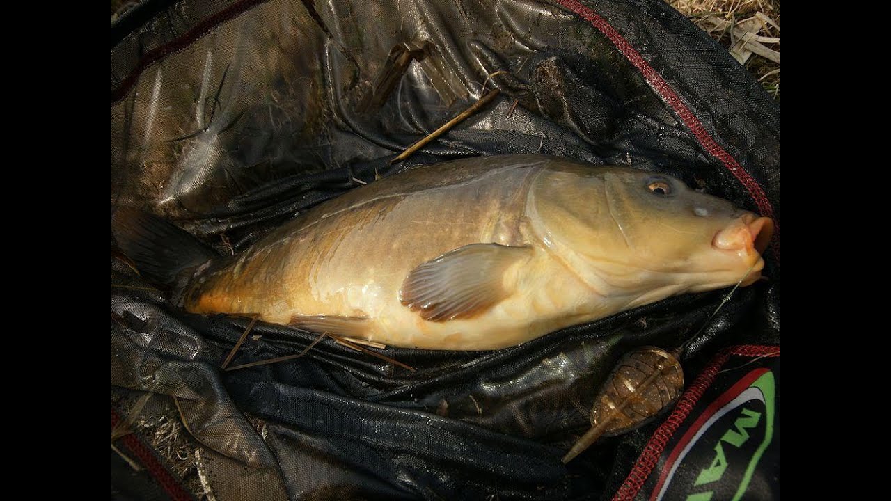 Metoda budowa zestawu