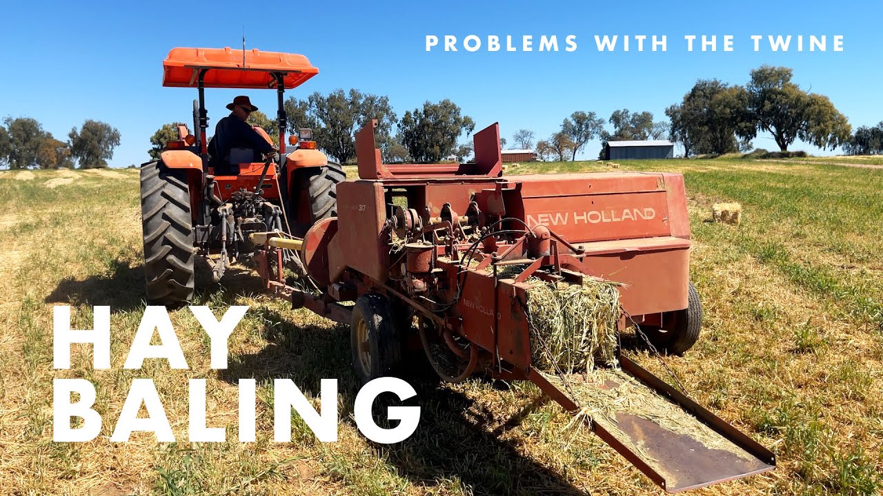 Moby Barley Hay Baling with the New Holland Hayliner 317 & Kubota