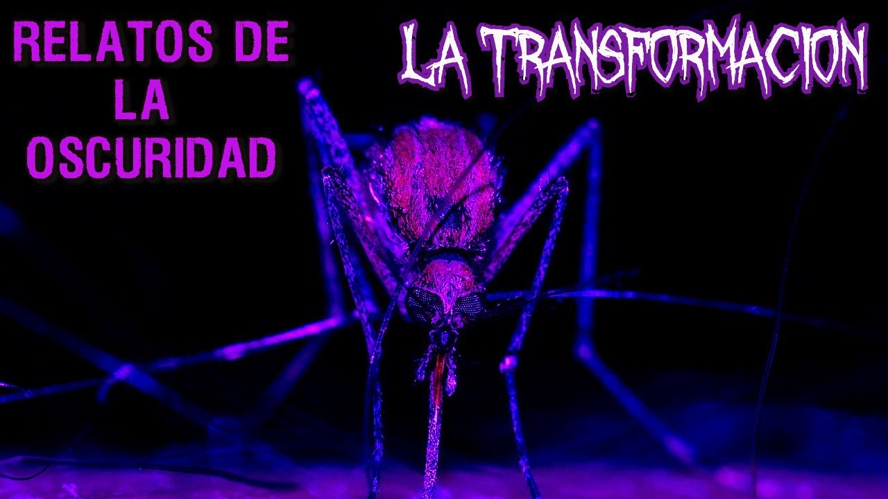 Relatos de la Oscuridad | La Transformaci&oacute;n
