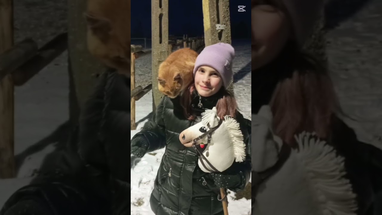 Ostatni teren i konie z mojej stajni. Ten stajenny kotek wszystkim wchodzi na barana🤭😘