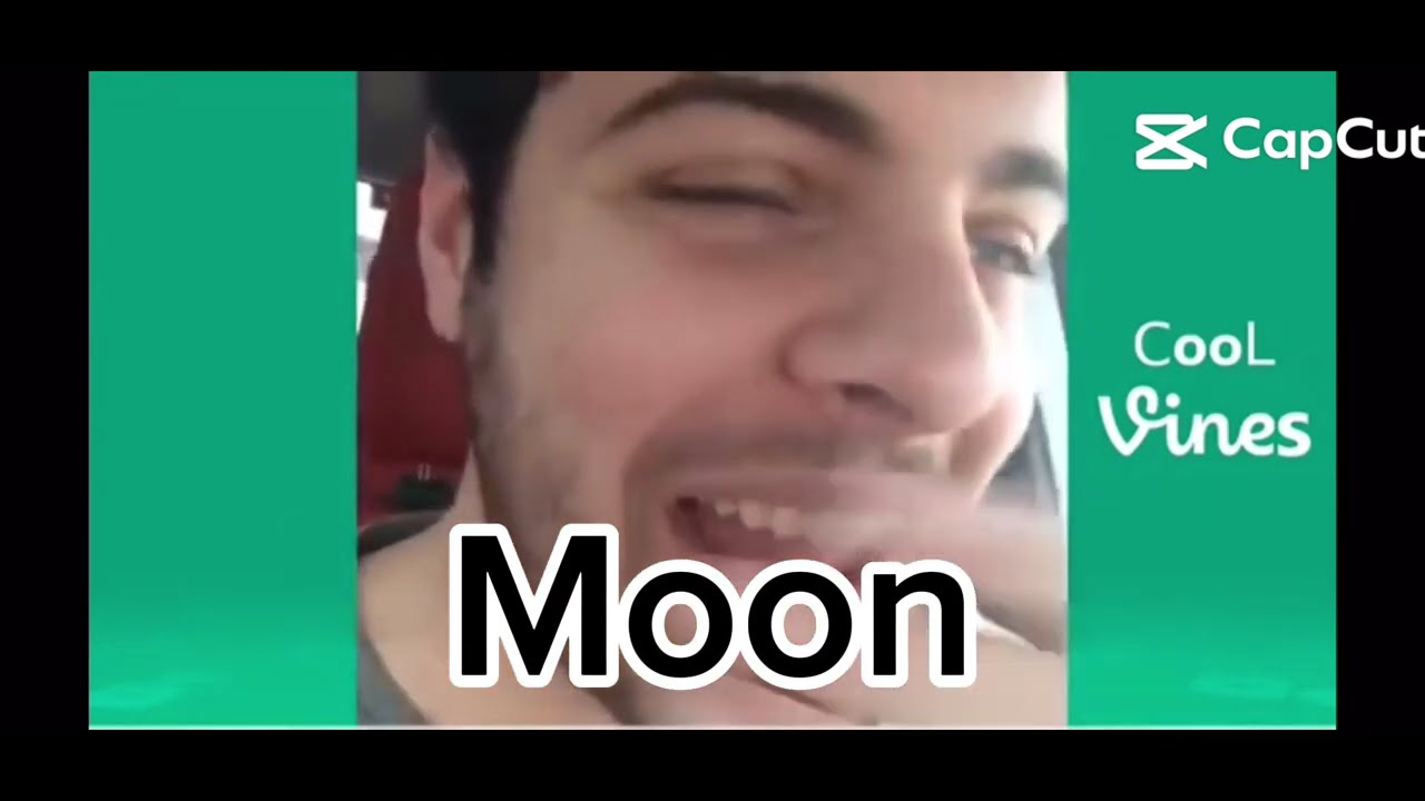 Sun and Moon Show as vine compilation