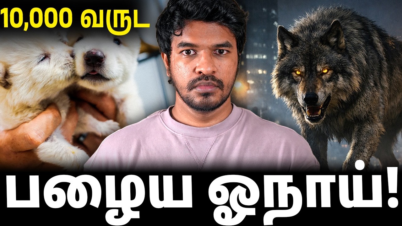10,000 வருடங்களுக்கு முன் வாழ்ந்த Dire Wolf - மீண்டும் வருமா? | Madan Gowri Tamil 🖖🏻